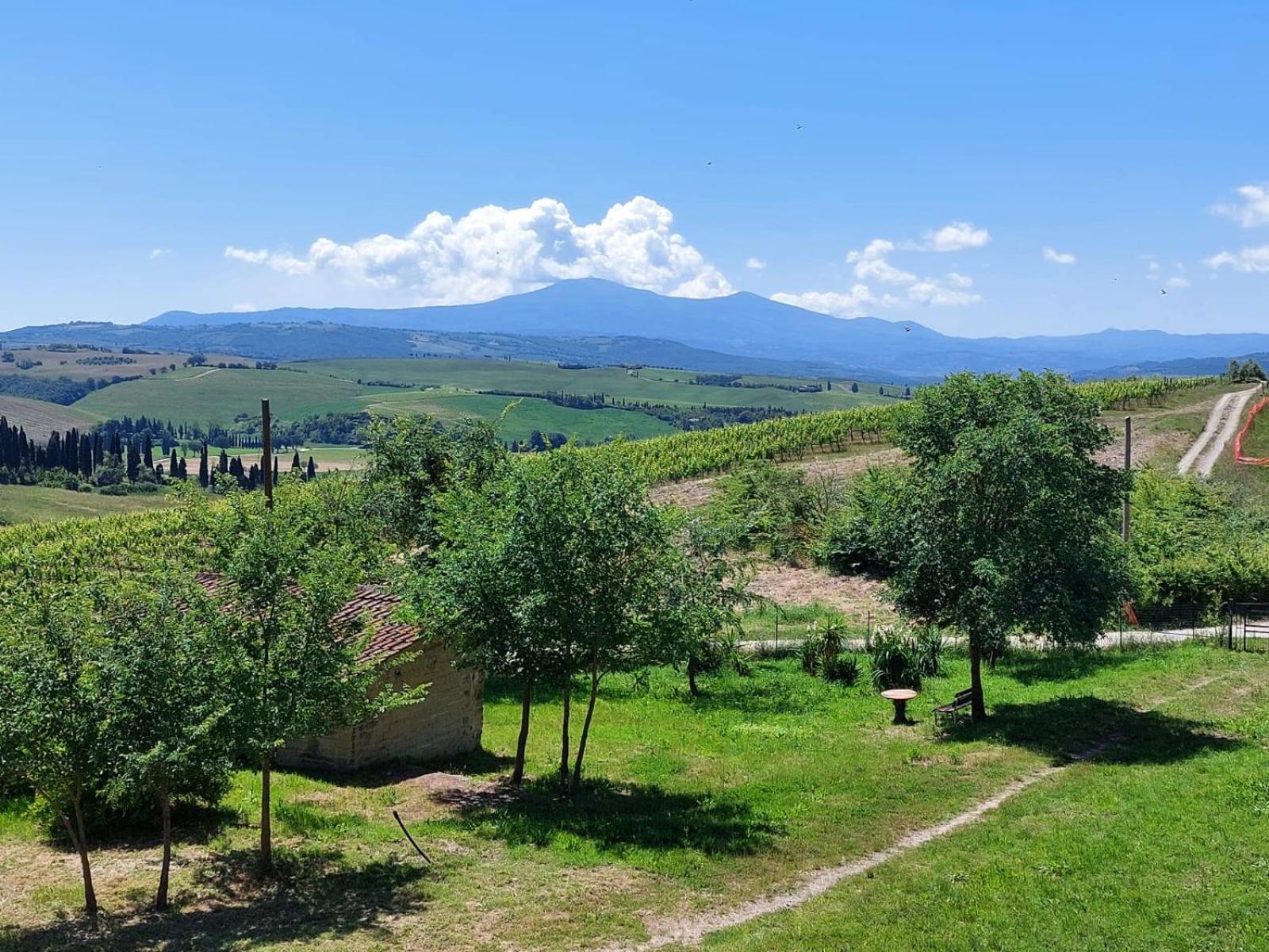A Casa Di Enrichetta Montalcino